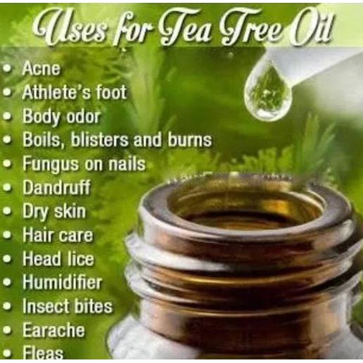 Neww Tea Tree Oil/Pure Essential Oil 5 Ml Cuci Gudangg