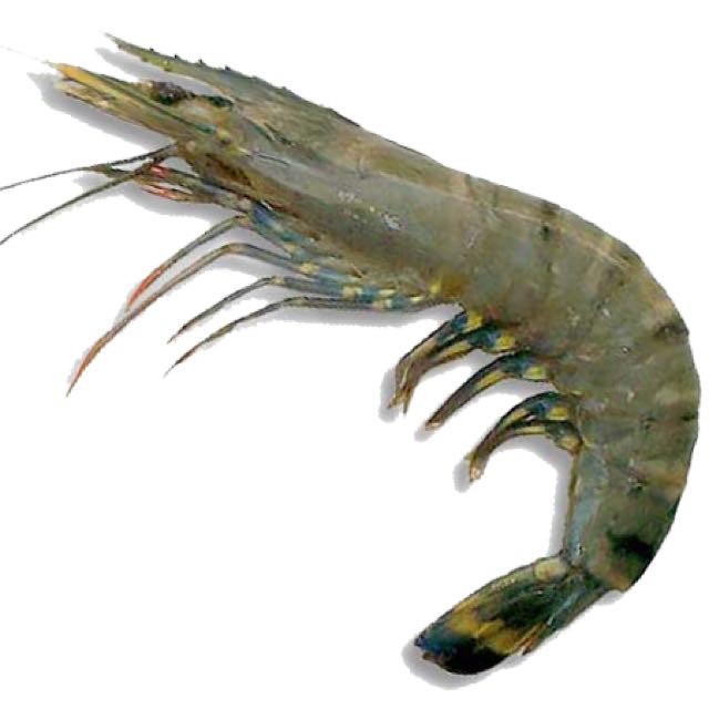 

UDANG VANAME - PASAR KEMIRI