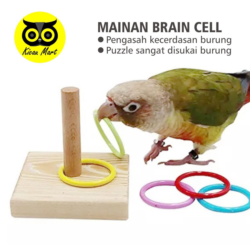 TRICK GELANG ROTAN ALAT BANTU TRICK PARROT MAINAN BURUNG LOVEBIRD PARKIT NURI BEO SUN CONURE TKRGLG