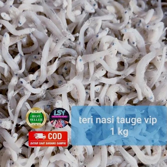 

IKAN ASIN TN TAUGE VIP / TERI NASI SIZE JUMBO 1KG NON COD FCDF6565