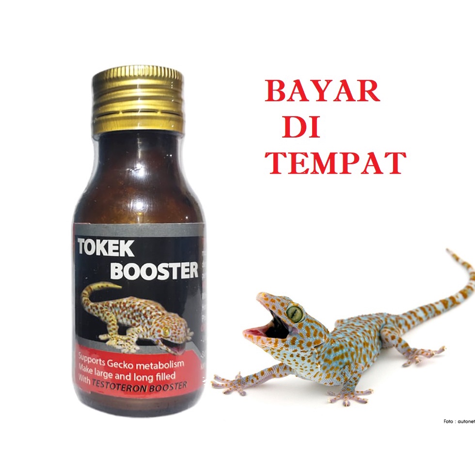 OBAT VITAMIN GECKO MURAH PERTUMBUHAN TOKEK BOOSTER AMPUH