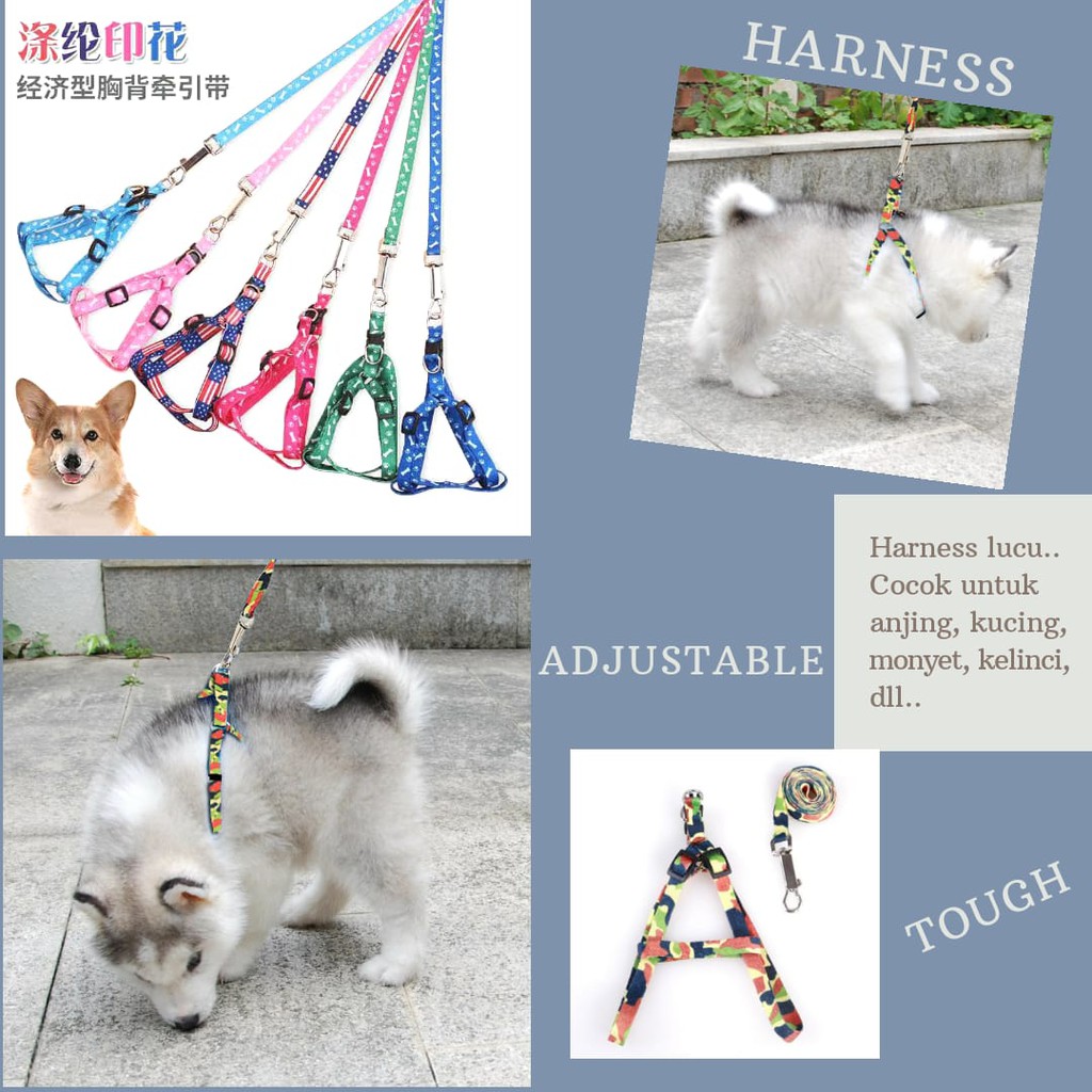 Pet Harness Collar Dog Cat / Tali Kalung Anjing Kucing Musang Motif