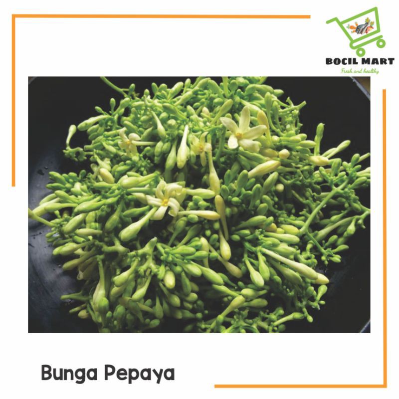 

BUNGA PEPAYA / KEMBANG KATES BOCIL MART