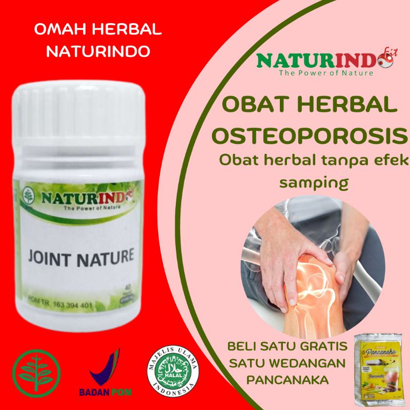 Jual OBAT TULANG KEROPOS SAKIT LUTUT RADANG SENDI HERBAL JOINT NATURE NATURINDO Shopee Indonesia