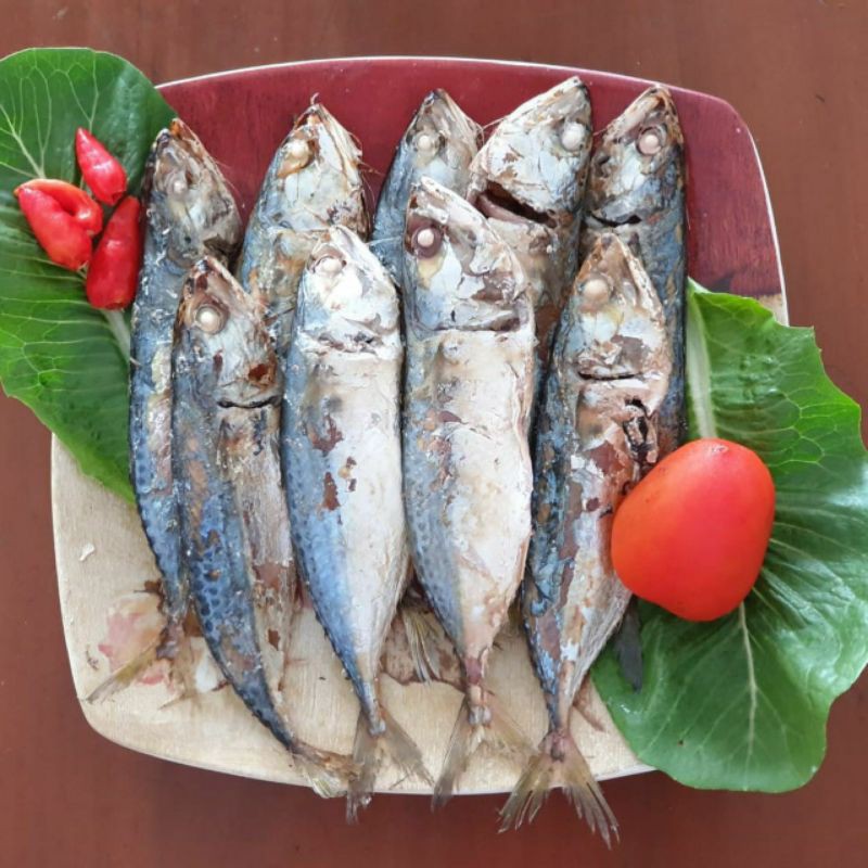 

Ikan Robus