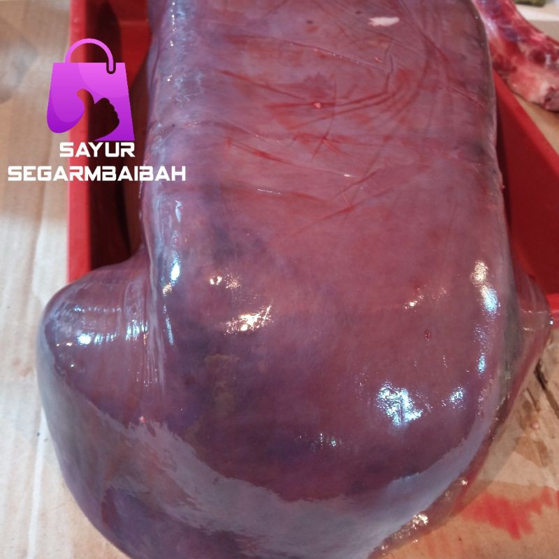 

Hati sapi segar
