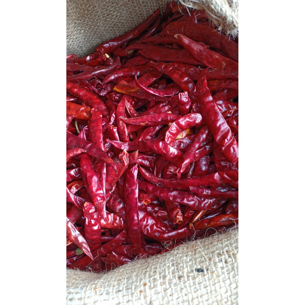 Cabe Kering Cabe India Cabe Iblis Dry chili 100g