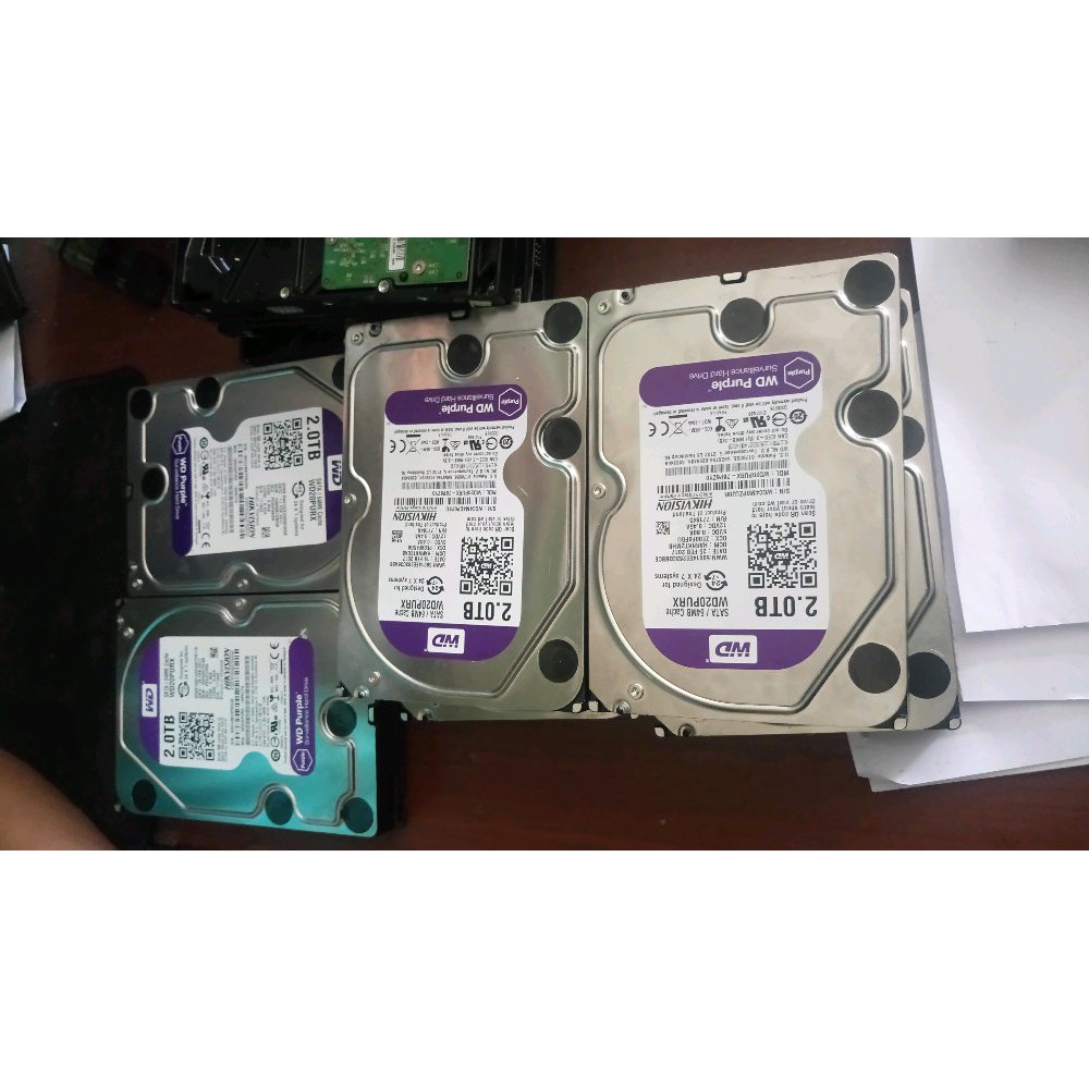 hdd WD purple 2tb Berkualitas