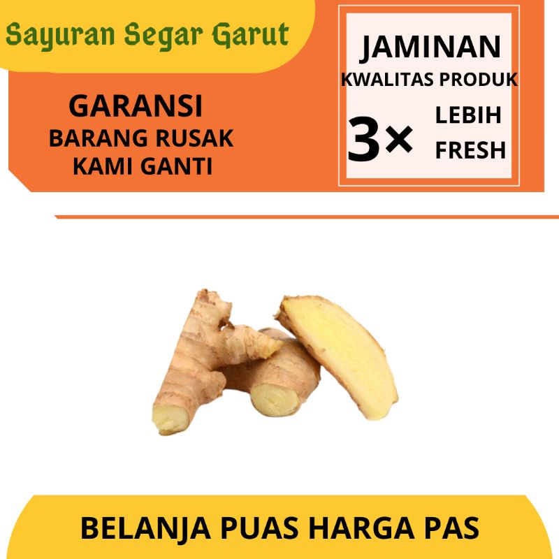

Jahe Putih Gajah Segar 250gr Bumbu Dapur by Sayuran Segar Garut