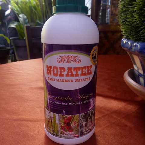 FUNGISIDA ORGANIK NOPATEK