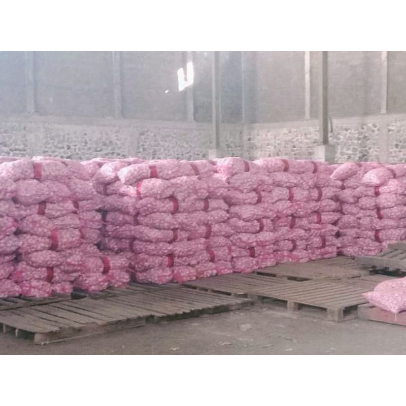 

bawang putih super 500 gram