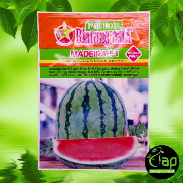 BIBIT BENIH SEMANGKA UNGGUL MADEIRA F1 20GRAM