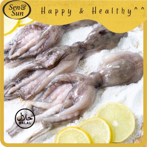 

Sen&Sun Gurita Utuh 30 50 200 gr
