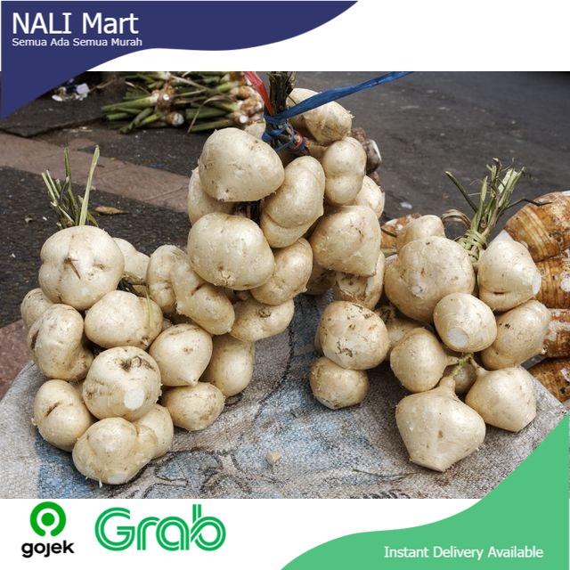

Buah Bengkoang Putih Buah Segar Sayur Online 1 KG