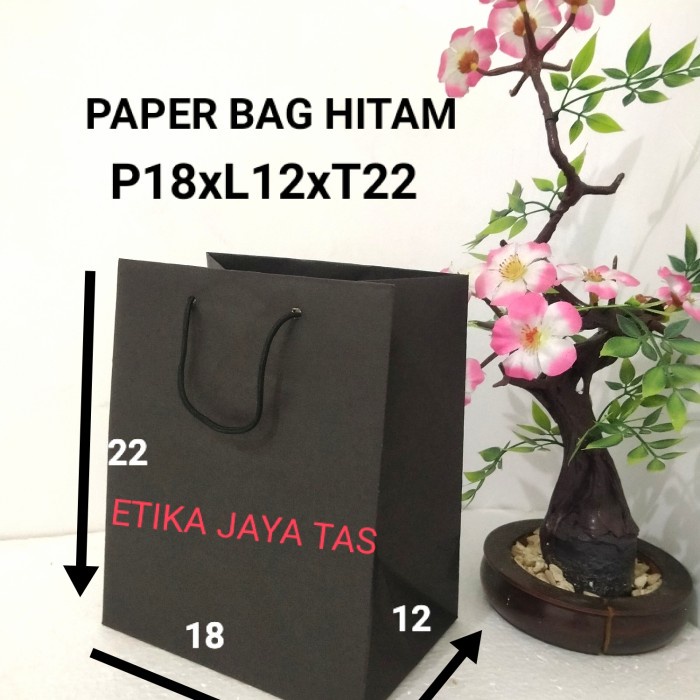 

PROMO paper bag R5 18x12x22