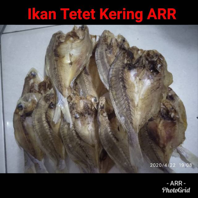 

Ikan tetet kering