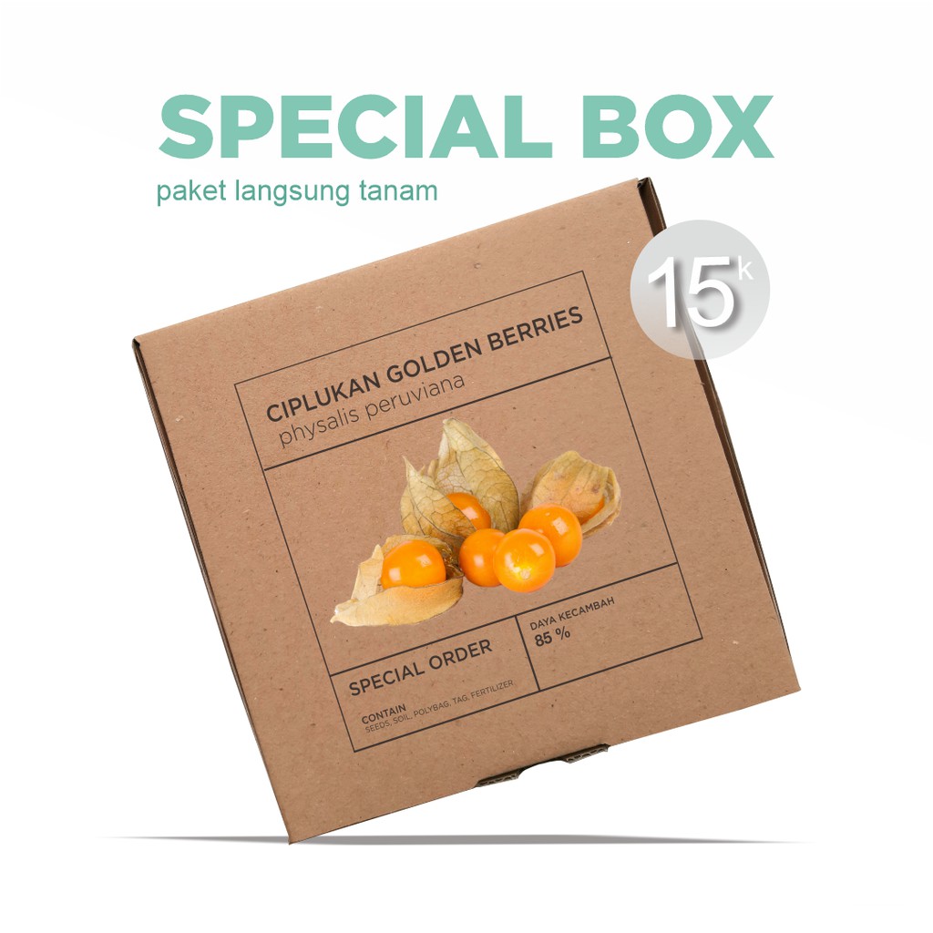 Paket Langsung Tanam - Gardening Kit - SPECIAL BOX - Benih Ciplukan Golden Berries Physalis peruviana Seeds