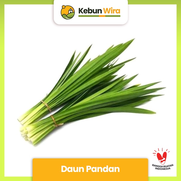 

Daun Pandan | Pandan Leaf