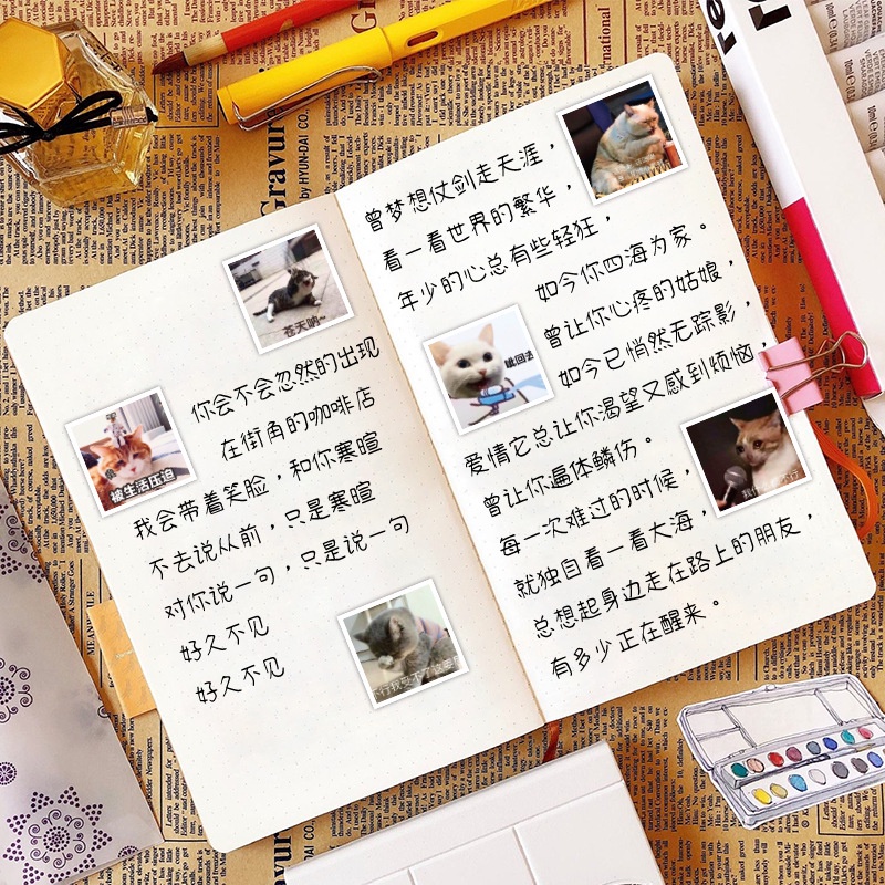 Lucu stiker kucing anak kucing hewan peliharaan ekspresi Jurnal bahan dekorasi ponsel case graffiti