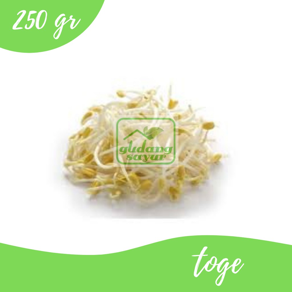 

Touge 500g Gudang Sayur Purwokerto