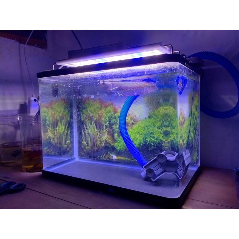 LAMPU AQUARIUM GANTUNG LED P400 40CM LAMPU AQUARIUM AQUASCAPE 40 CM