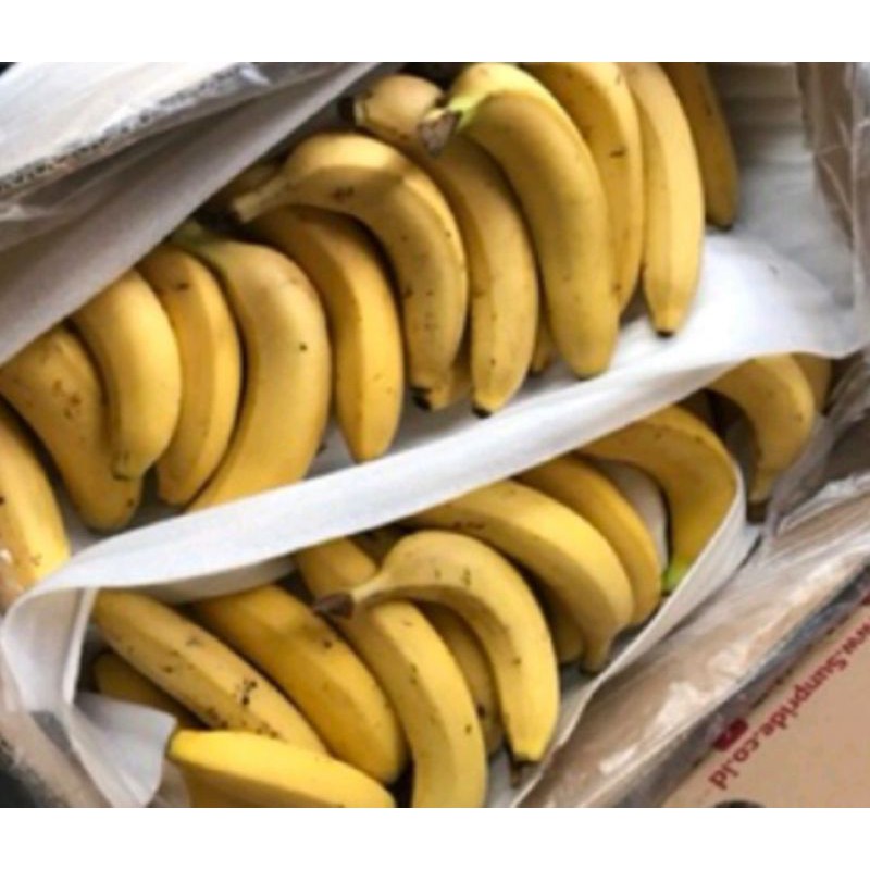 

Pisang Sunpride Curah Grade A Ganda Segar dan Sehat per Box 13 kg Rp. 175.000