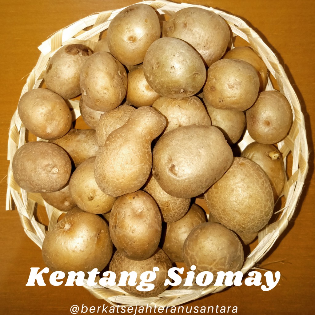 

Kentang Siomay // Kemasan 1 kg