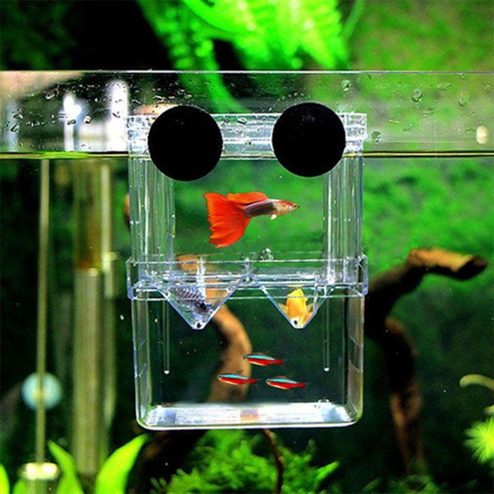 REBUY Rebuy Hatchery Multifungsi Akrilik Dengan Suction Cup Aquarium Isolasi Ikan Untuk Bayi Fishes Guppy Breastfeeding Box