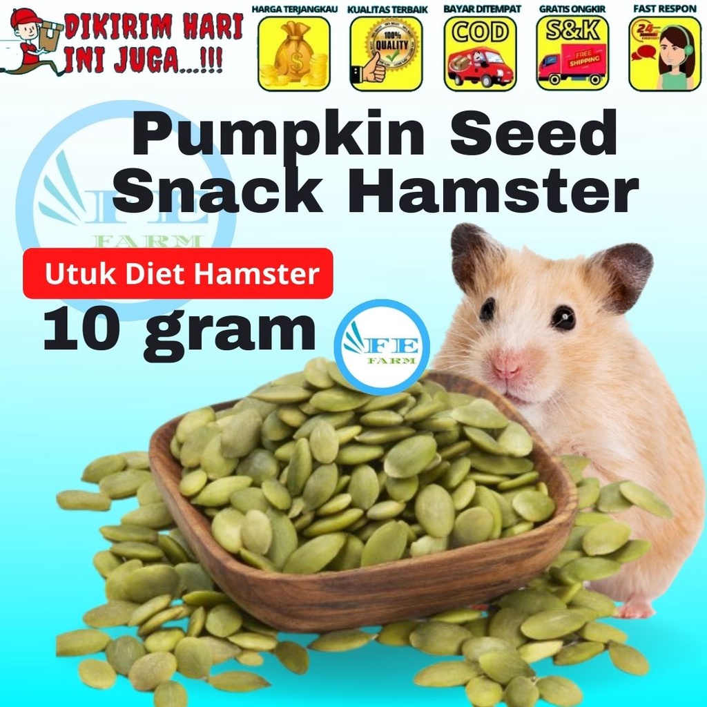 Pumpkin seed | healthy snack hamster | makanan hamster | diet 10gr FEFARM