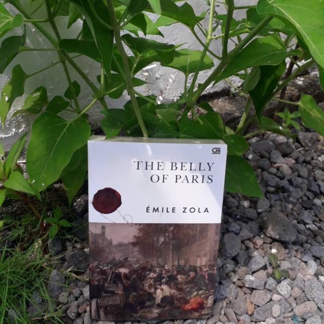 novel emile zola "the belly of paris"