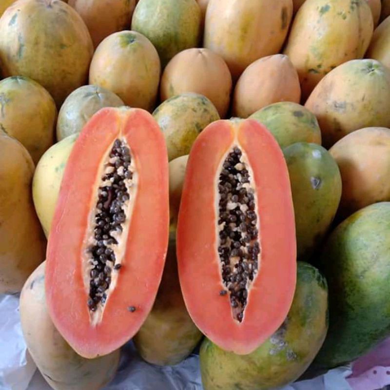

pepaya california segar