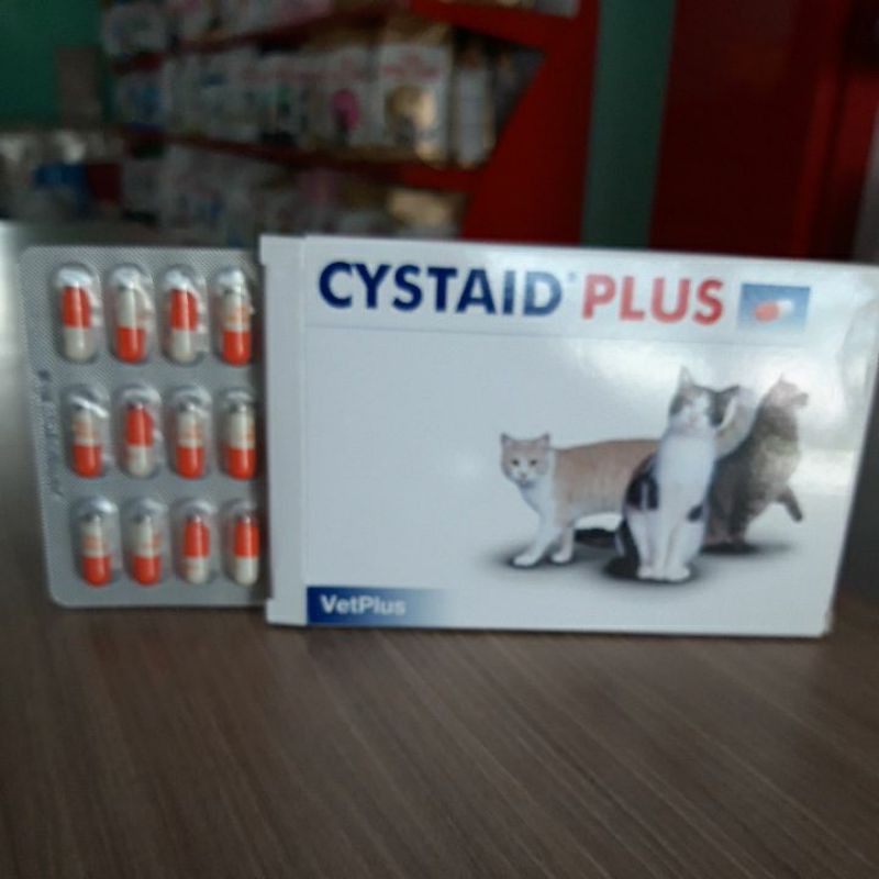 Cystaid Plus Pertablet 1 Tablet Obat Saluran urin