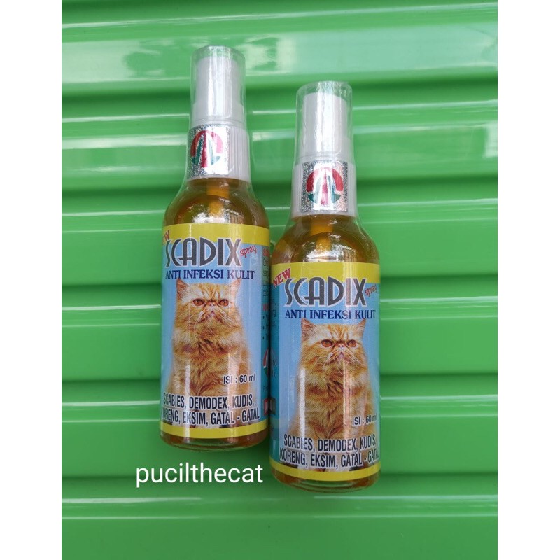 Scadix Obat Scabies Kucing Obat Jamur Kucing