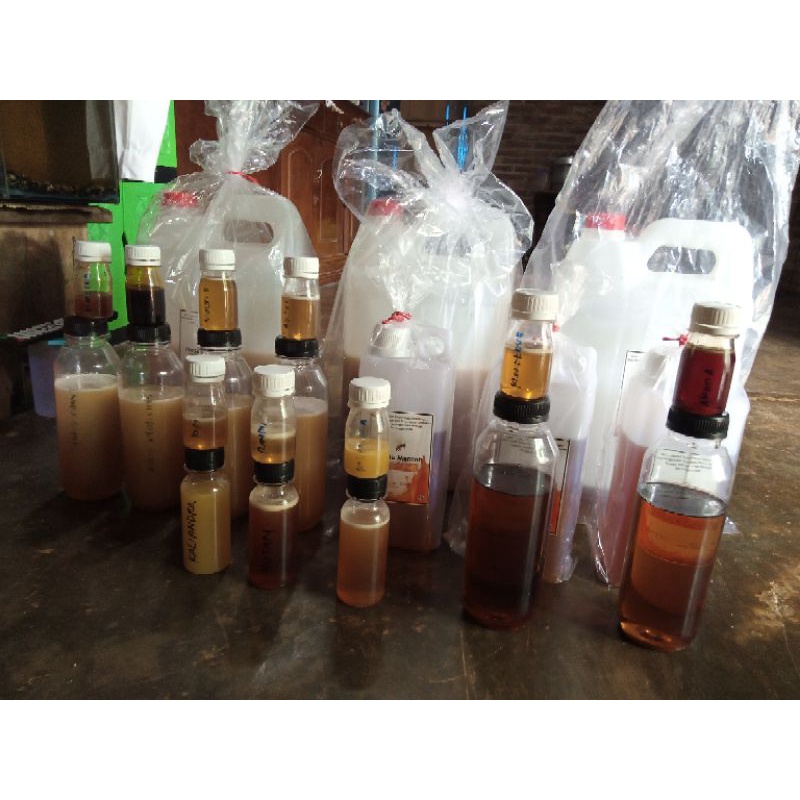 

madu hutan murah 1kg