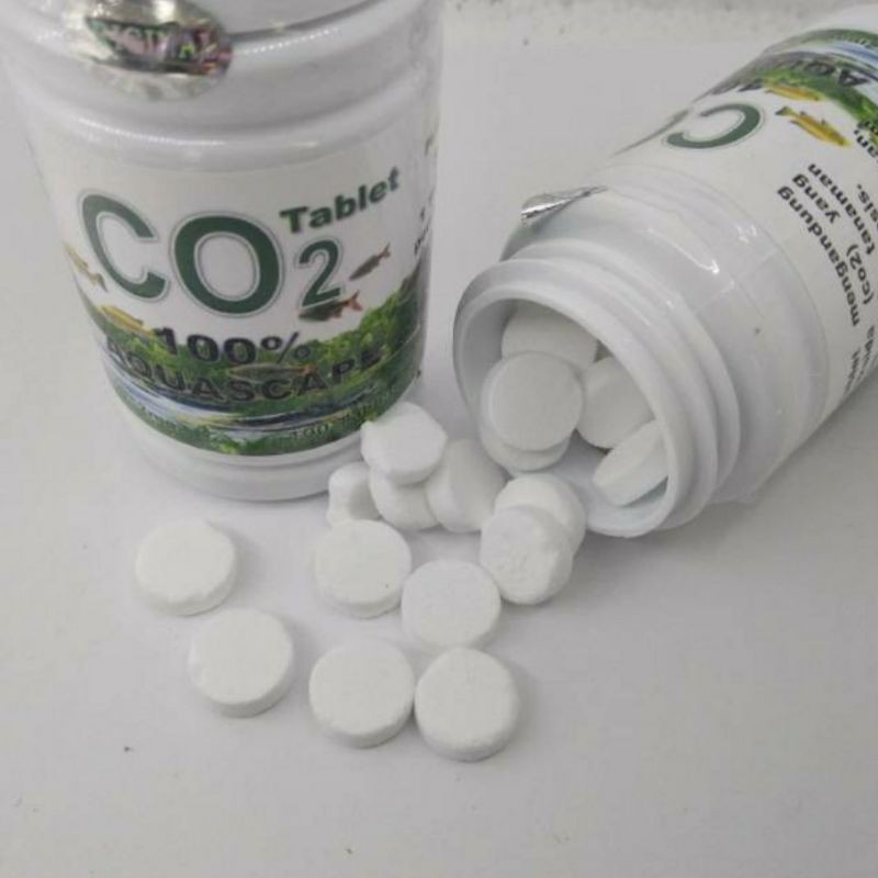 Co2 Tablet Co2 Aquascape Ecer per 1 Tablet