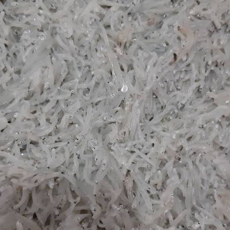 

teri nasi teri medan
