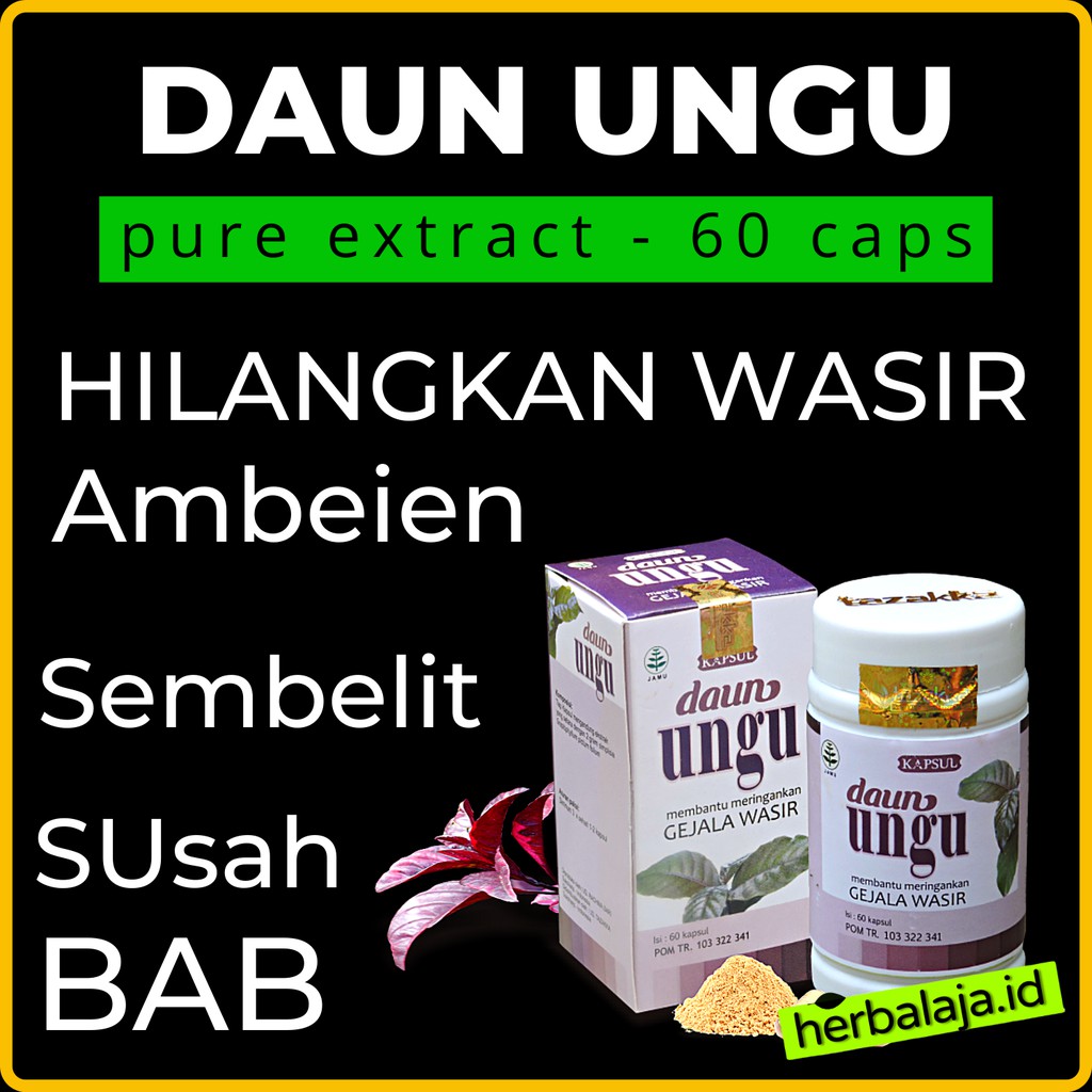 OBAT WASIR CINA AMPUH STADIUM 4 OBAT AMBEIEN HERBAL DAUN UNGU OBAT AMBEYEN PALING AMPUH