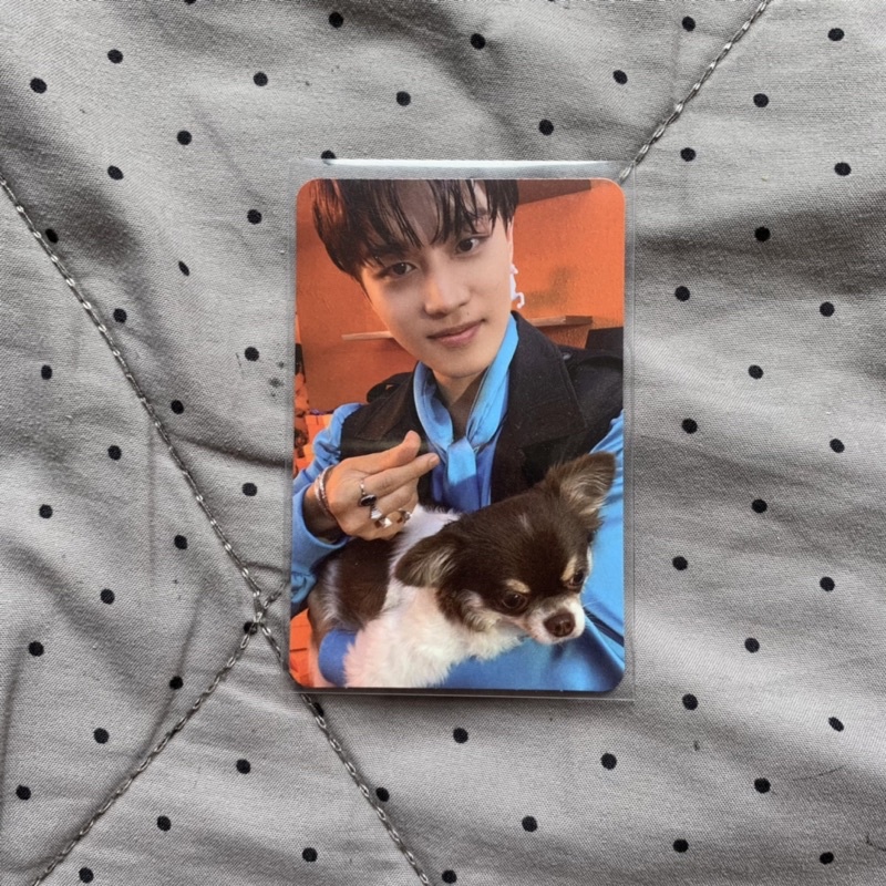 PHOTOCARD STICKER PHOTOBOOK TAEIL | PHOTOCARD STICKER TAEIL