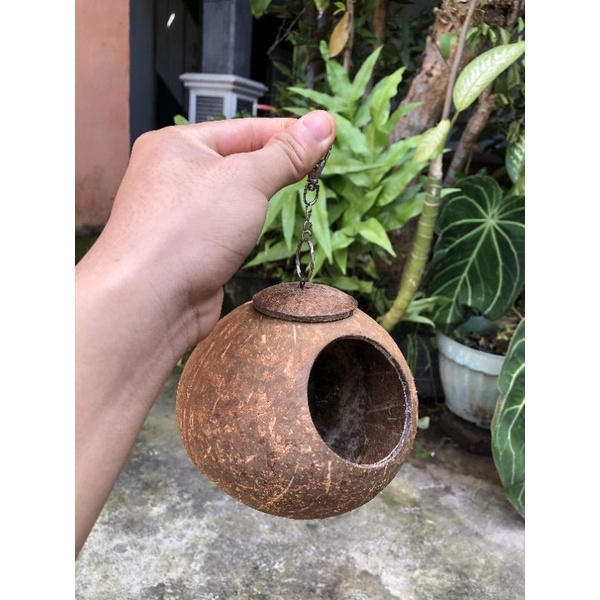 Glodok batok besar glodok lovebird sangkar burung kandang burung