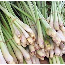 

Serai Bumbu Dapur Segar Fresh Sereh