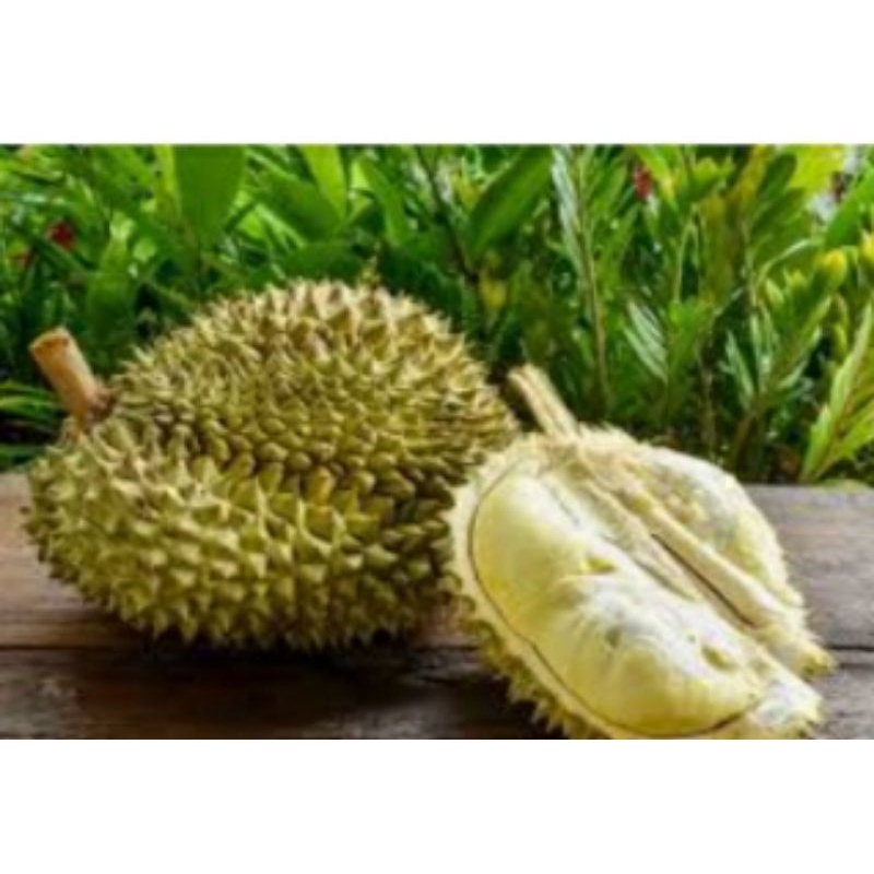 

Selai Durian