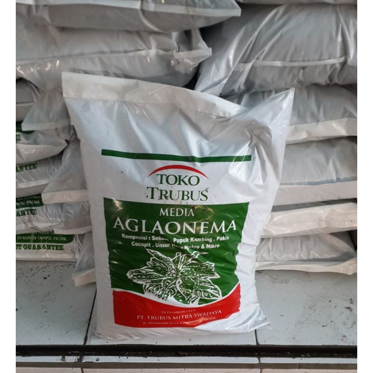 media tanam trubus organik aglonema/media tanam Organik aglonema