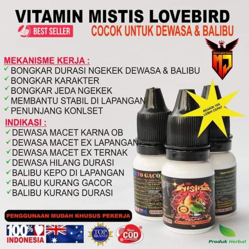 Mistis Lovebird vitamin mistis LB baby dewasa paud singel untulan