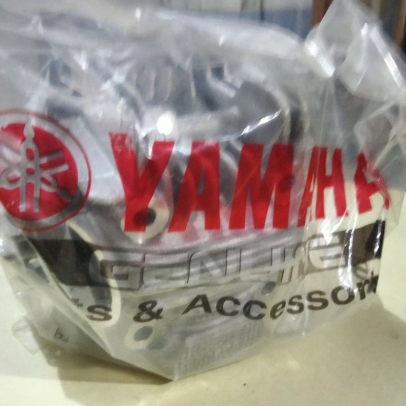 cylinder head Vega zr