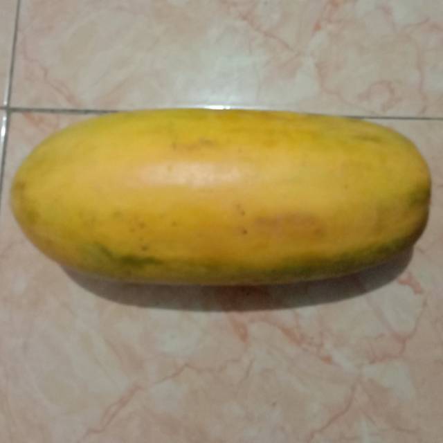 

Pepaya california sayur bandung