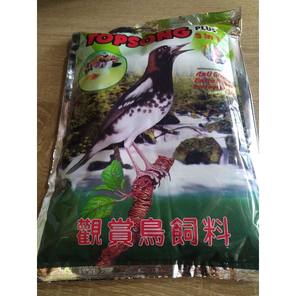 pur burung kacer murai pentet topsong anti stres kuning