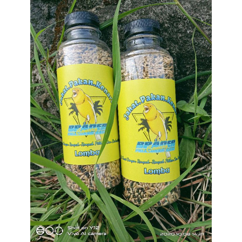 PAKAN BURUNG KENARI. JAHAT PAKAN KENARI #LOMBA