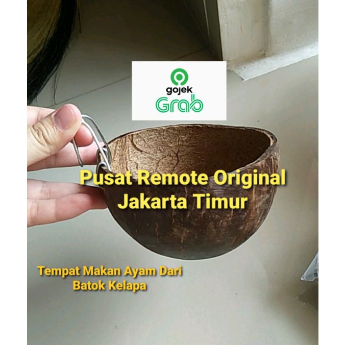 TEMPAT MAKAN MINUM BURUNG AYAM BATOK KELAPA