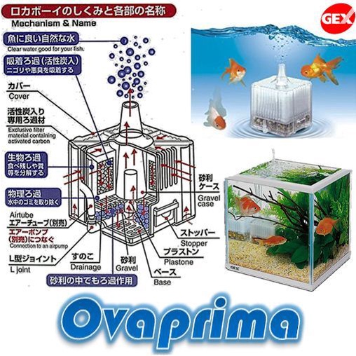 Filter Aquarium Gex RokaBoy M-1