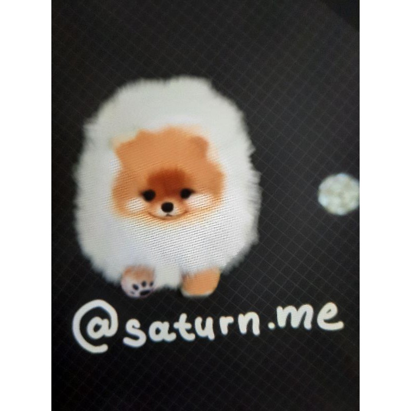 

cute little dog stickers